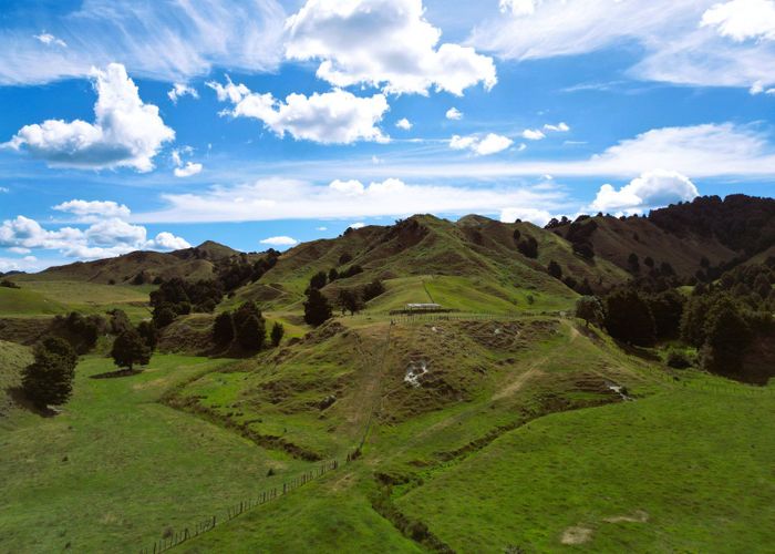  at 5484 State Highway 4, Taumarunui, Ruapehu, Manawatu / Whanganui
