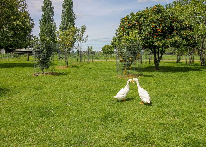  at 512 Pirongia Road, Te Awamutu, Te Awamutu