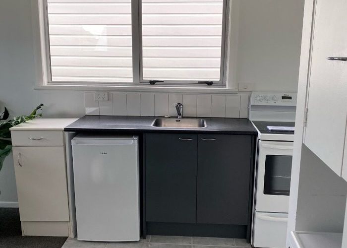  at 1/131 Williamson Avenue, Grey Lynn, Auckland City, Auckland