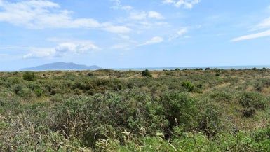  at 87 Puruaha Road, Te Horo