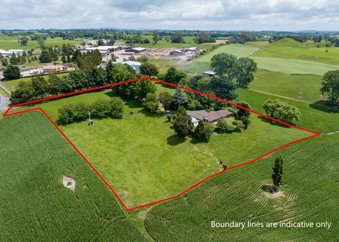  at 113 Domain Road, Putaruru