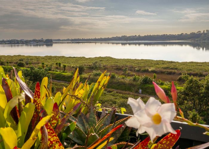  at 78 Esk Street, Parkvale, Tauranga