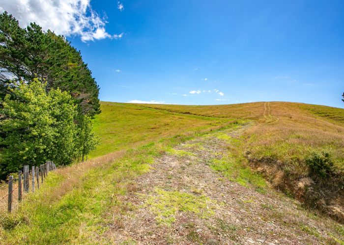  at 52 The 309 Road, Coromandel, Thames-Coromandel, Waikato