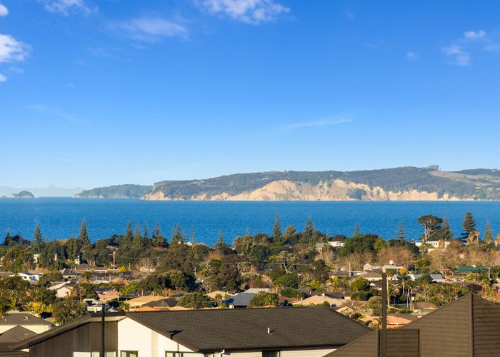  at 39 Davey Crescent, Orewa, Rodney, Auckland