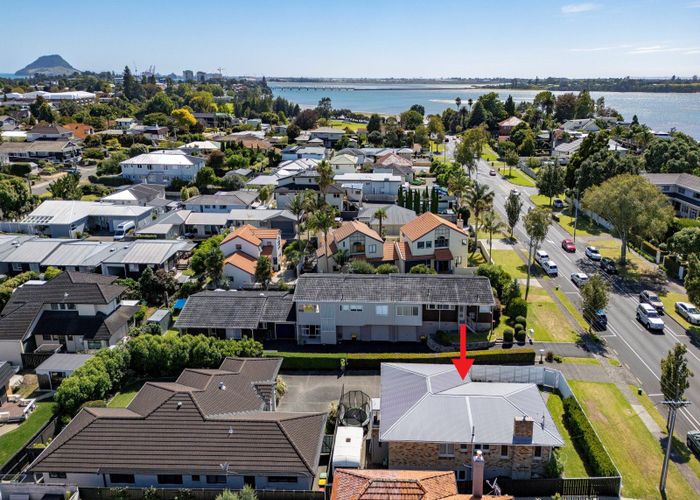  at 65A Fraser Street, Tauranga South, Tauranga