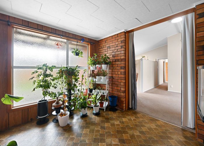  at 10 Hibiscus Avenue, Hamilton Lake, Hamilton, Waikato