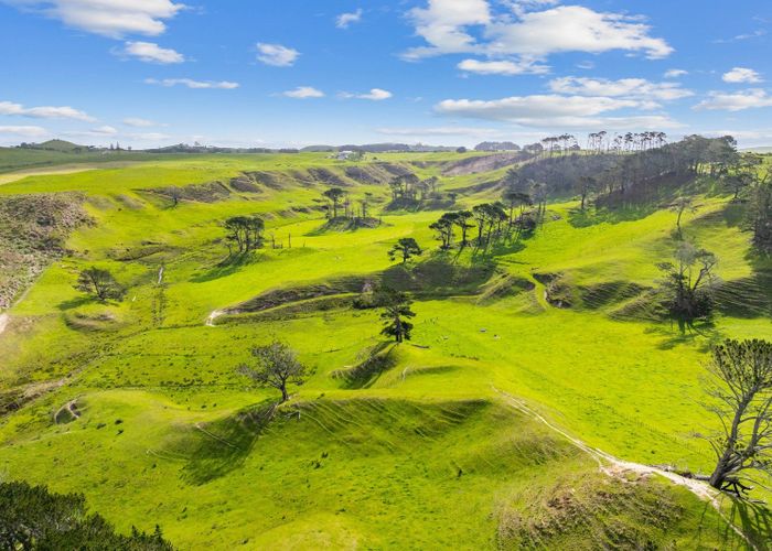  at Hilliam Road, Dargaville, Kaipara, Northland