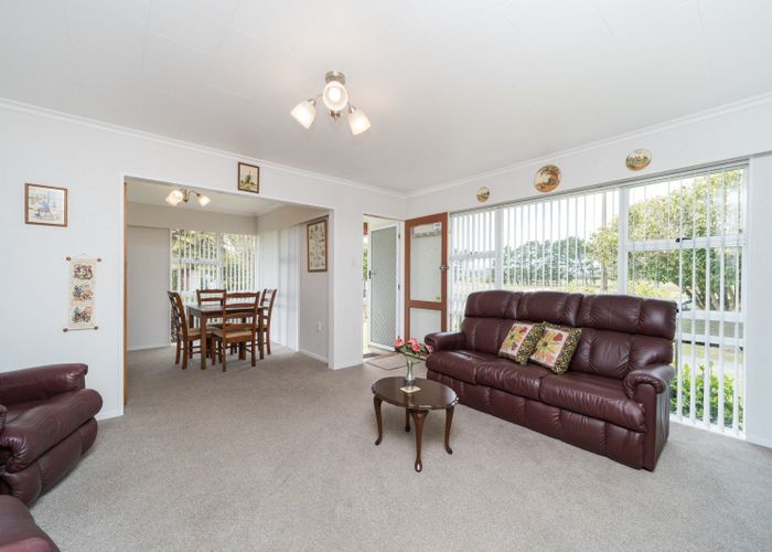  at 45 Dittmer Drive, Awapuni, Palmerston North, Manawatu / Whanganui