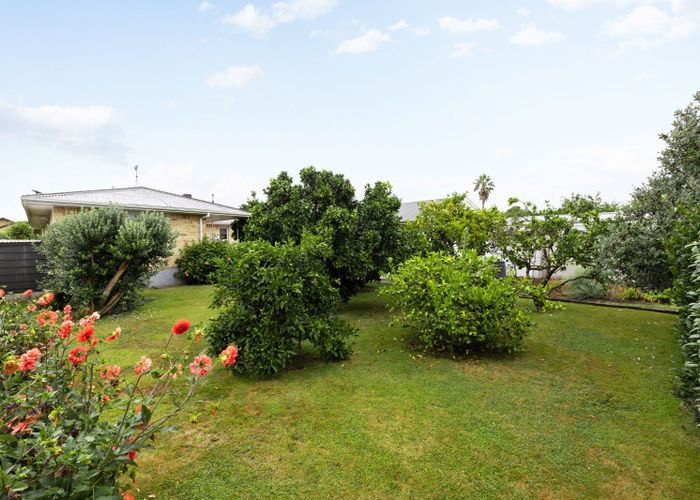  at 38 Taylor Terrace, St Andrews, Hamilton