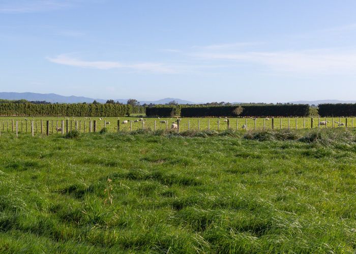  at 595 East Taratahi Road, Carterton, Carterton, Wellington