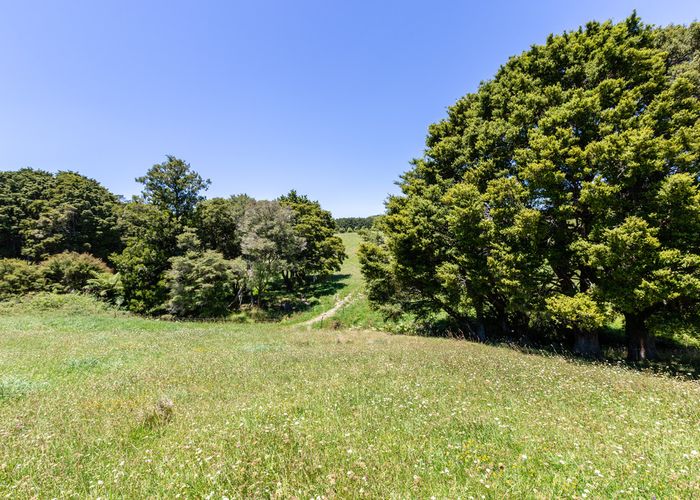  at 0 Hoban Road, Whareora, Whareora