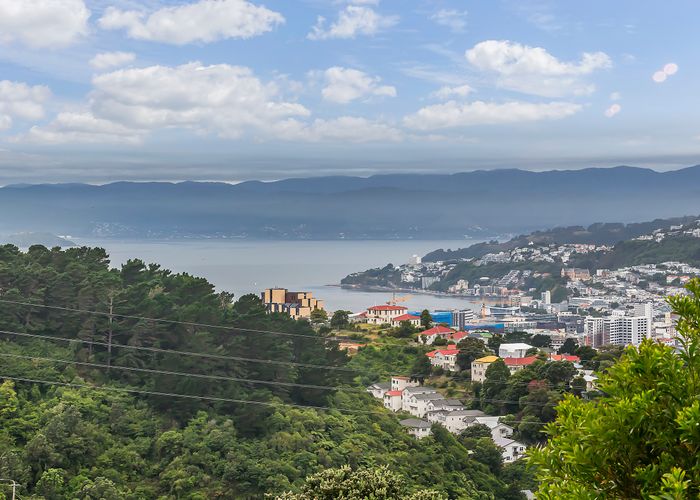  at 13A Koromiko Road, Aro Valley, Wellington