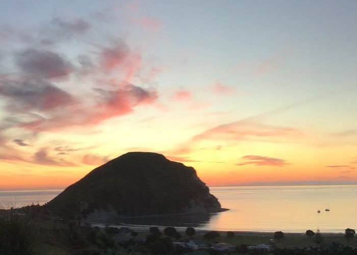  at 16 Puka Place, MAHIA, NUHAKA