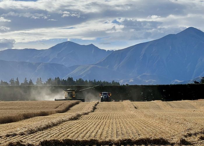  at 33 Keens Road, Springfield, Selwyn, Canterbury