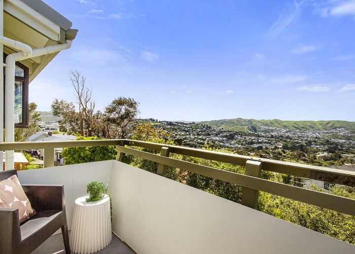  at 19 Carluke Street, Paparangi, Wellington, Wellington