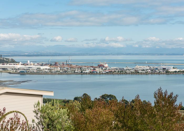  at 61 Davies Drive, Atawhai, Nelson