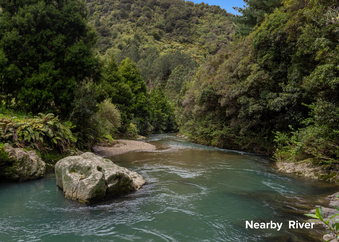  at 447 Takaputahi Road, Toatoa, Ōpōtiki