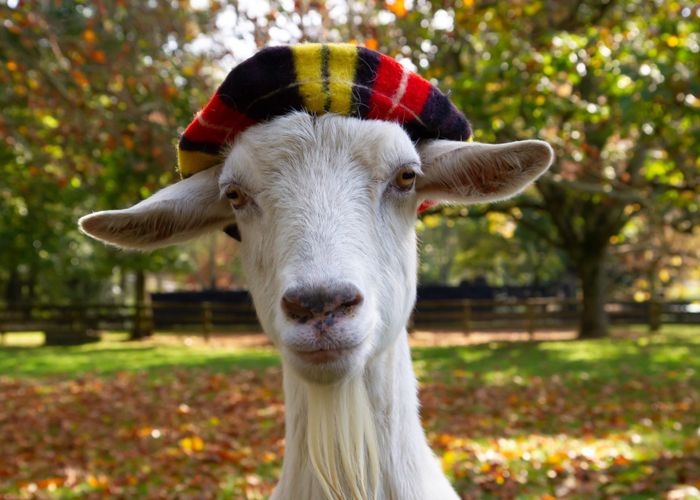  at 179 Mcgregor Road, Ngahinapouri, Waipa, Waikato