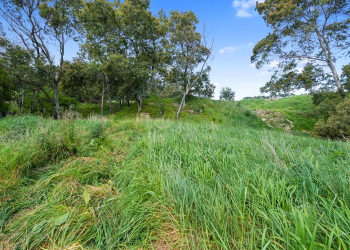  at 0 Wards Line, Morison Bush, Greytown