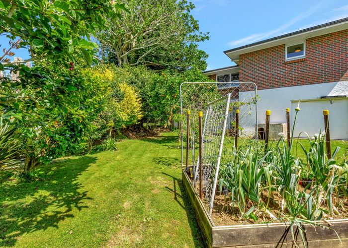  at 53E Doralto Road, Frankleigh Park, New Plymouth