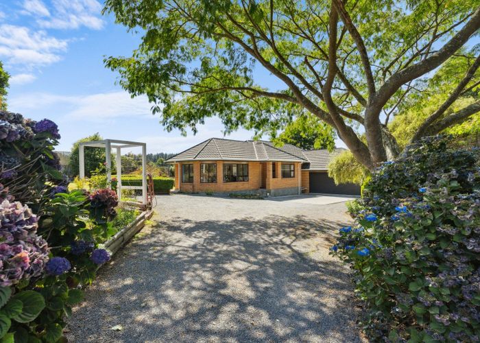  at 223 Heatherlea East Road, Levin, Horowhenua, Manawatu / Whanganui