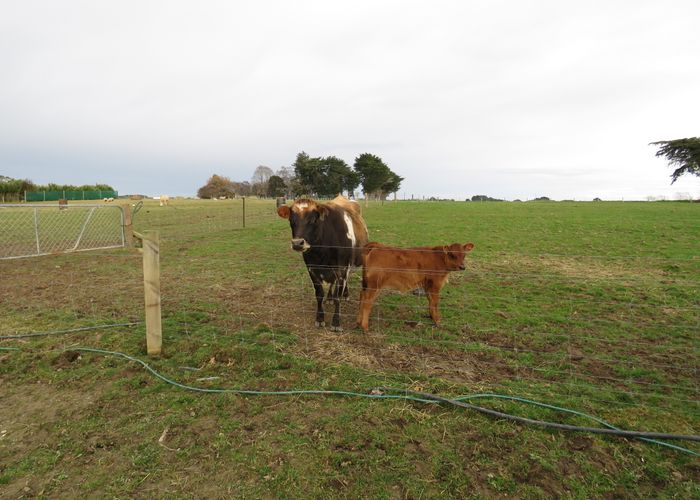  at 251 Drysdale Road, Myross Bush