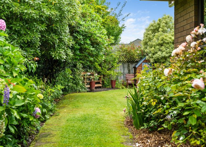  at 16 Springswood Grove, Springlands, Blenheim, Marlborough