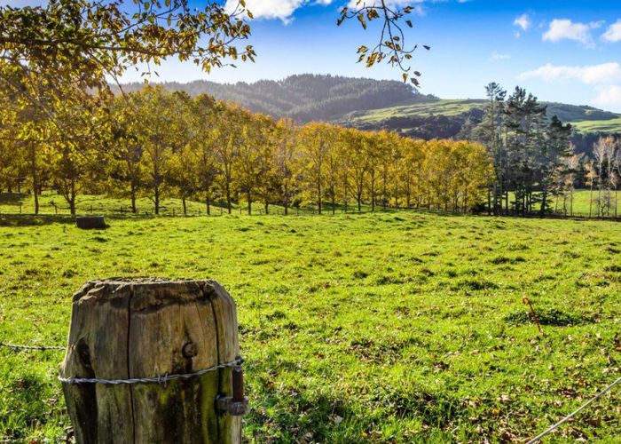  at 1149 Whangaripo Valley Road, Matakana, Rodney, Auckland