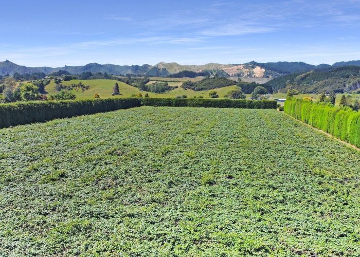  at 59 Macdonald Road, Te Teko, Whakatane, Bay Of Plenty