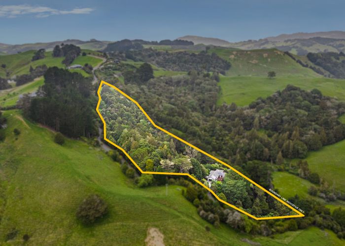  at 42 Hungry Creek Road, Puhoi, Rodney, Auckland
