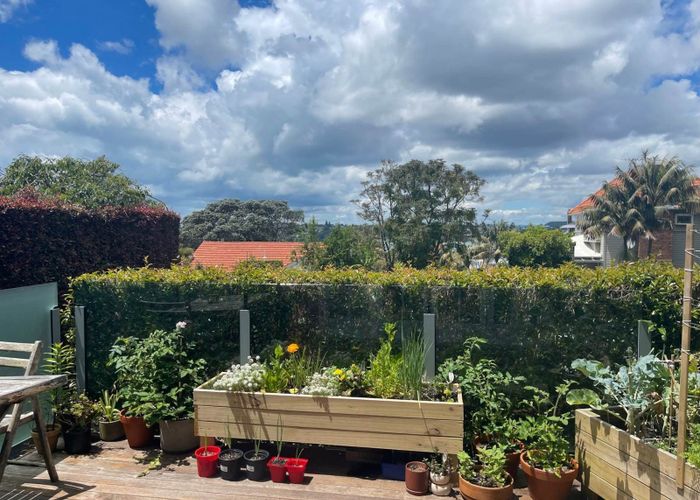  at 3/34 Glanville Terrace, Parnell, Auckland City, Auckland