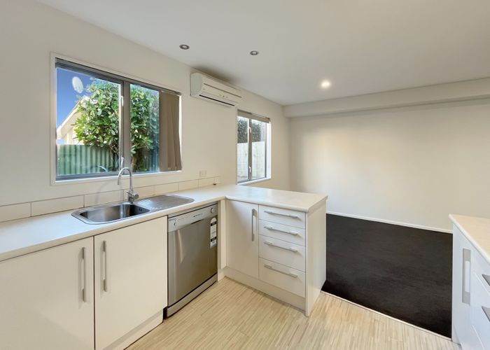  at 17 Antrim Street, Sydenham, Christchurch