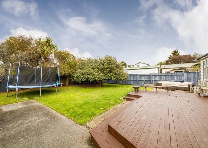  at 50 Argyle Avenue, Takaro, Palmerston North