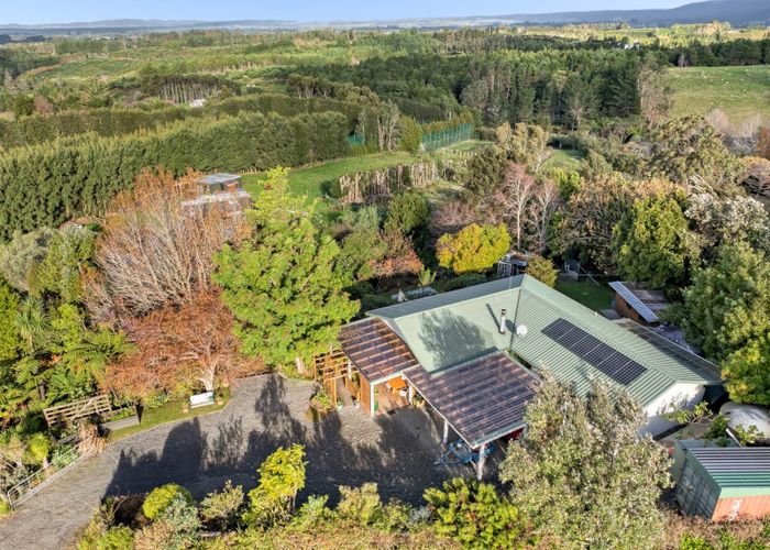  at 269 Busby Road, Katikati, Western Bay Of Plenty, Bay Of Plenty