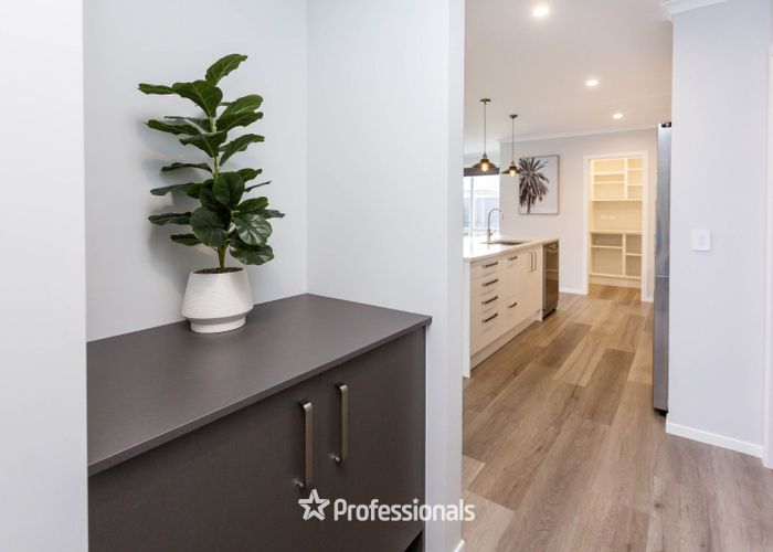  at 107 Mawai Hakona Drive, Wallaceville, Upper Hutt, Wellington