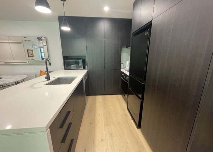  at 209/8 Kingsland Terrace, Kingsland, Auckland City, Auckland
