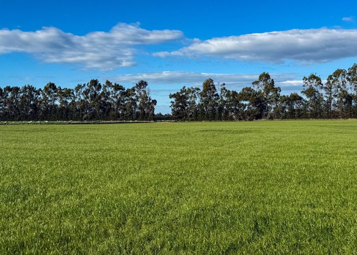  at Mandeville-Kingston Crossing Road, Riversdale, Southland, Southland