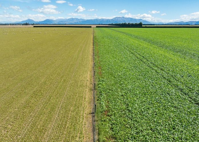  at 2322 Back Track, Ashburton, Ashburton, Canterbury