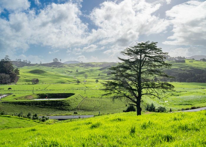  at Lemonwood Rise, Maungakaramea, Whangarei, Northland