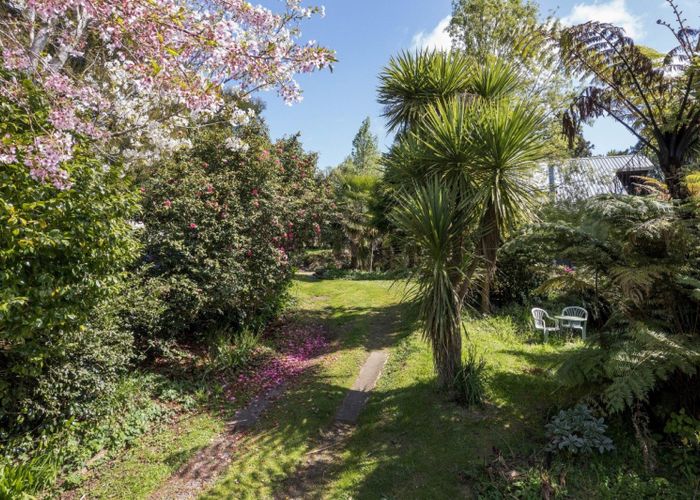 at 100 Bradford Street, Waihi, Waihi