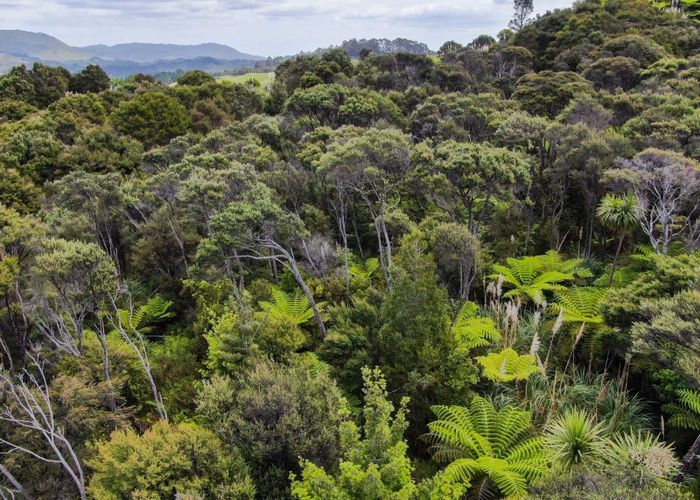  at 1248A Oruru Road, Peria, Far North, Northland