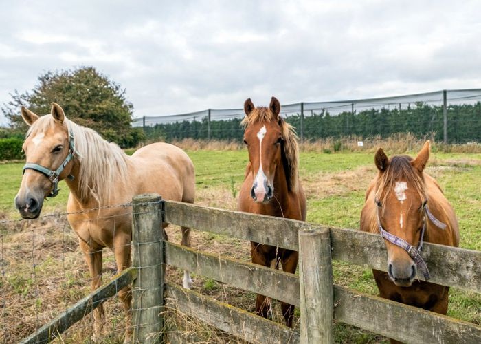  at 193 Kerrytown Road, Kerrytown