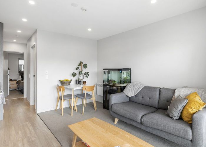  at 14/23 London Street, Dunedin Central, Dunedin