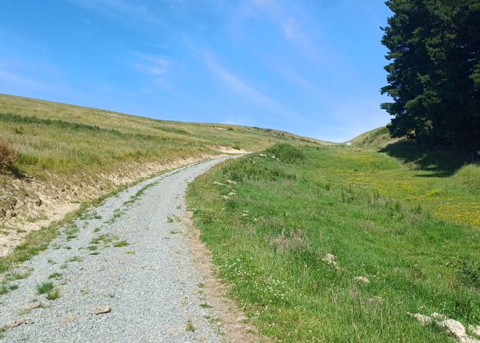  at Lot 3 DP 592022 Siegerts Road, Fairlie, Mackenzie, Canterbury