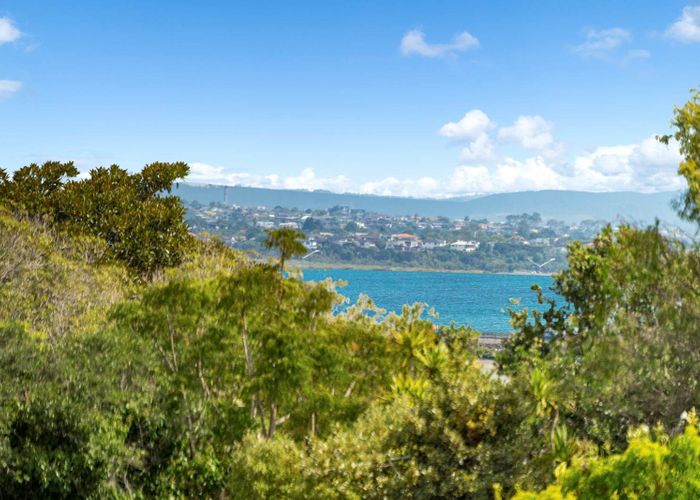  at 18/38 Fairlands Avenue, Waterview, Auckland City, Auckland