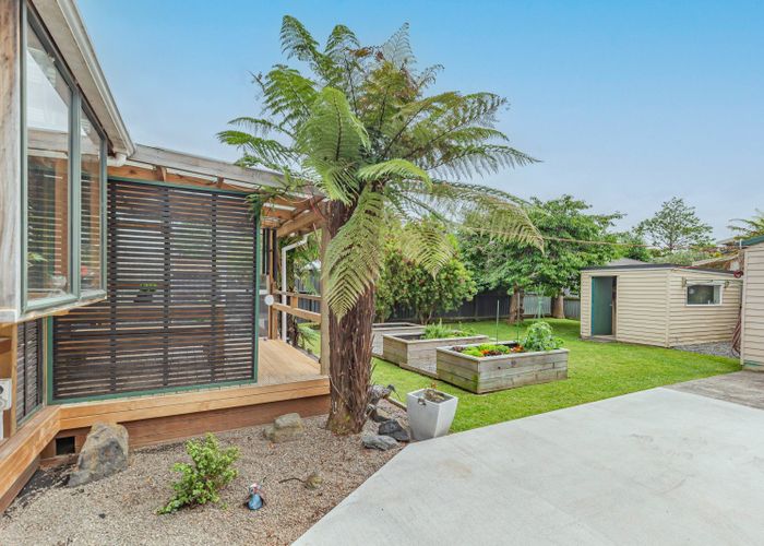  at 20 York Street, Levin, Levin