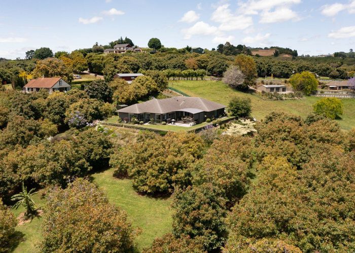  at 84 Oliver Road, Tauranga