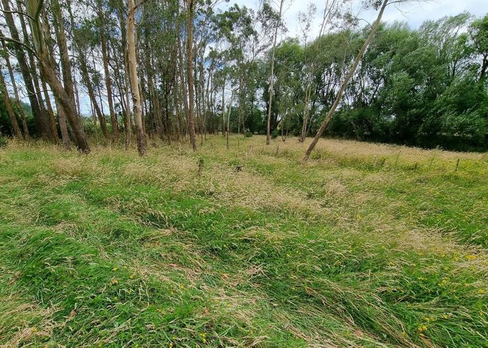  at 0 Pahiatua Mangahao Rd, Mangamutu, Pahiatua