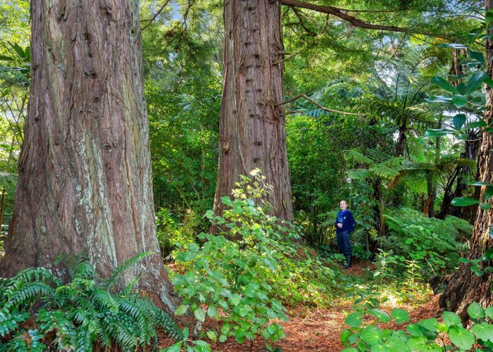  at 26 Gladstone Road, Levin, Levin