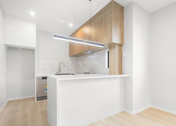  at 345F Great South Road, Greenlane, Auckland City, Auckland